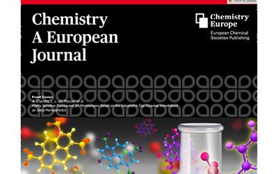 Highly Sensitive Fluorescent pH Microsensors Based on the Ratiometric Dye Pyranine Immobilized on Silica Microparticles