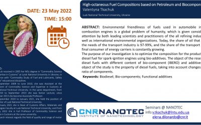 High-octaneous Fuel Compositions based on Petroleum and Biocomponents