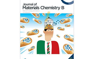 Recent advances in the design of inorganic and nano-clay particles for the treatment of brain disorders