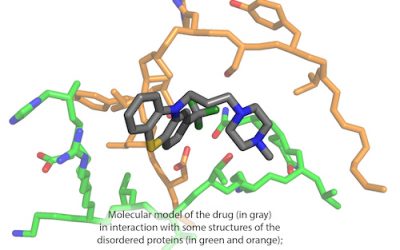 Identification of a Drug Targeting an Intrinsically Disordered Protein Involved in Pancreatic Adenocarcinoma