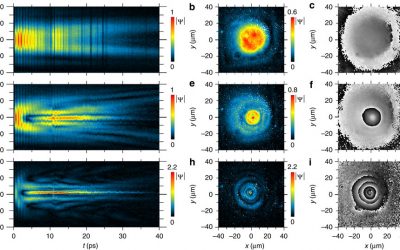 Real-space collapse of a polariton condensate