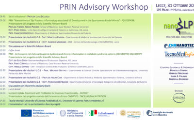 PRIN Advisory Workshop